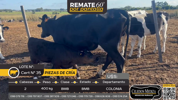 Lote 2 Piezas de cría en Tarariras, Colonia