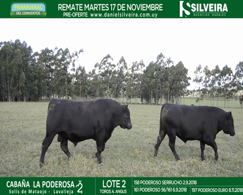 Lote Cabaña La Poderosa