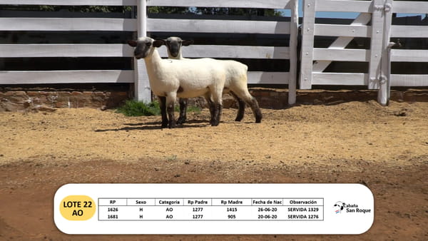 Lote Lote 22- AO