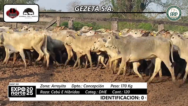 Lote DHE