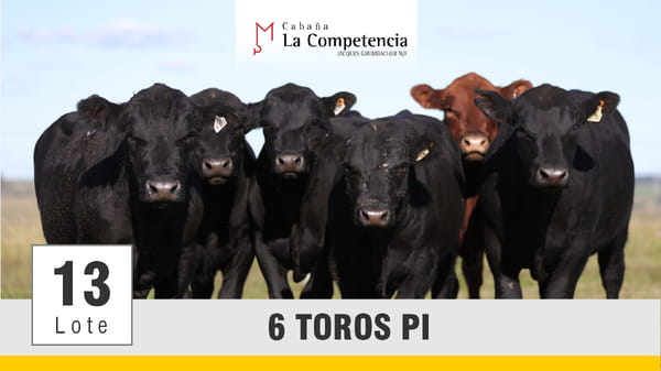 Lote (Vendido)Toros, Montevideo