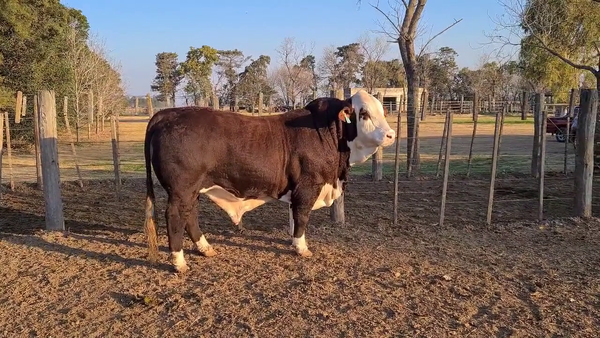 Lote CABAÑA LA ESPERANZA