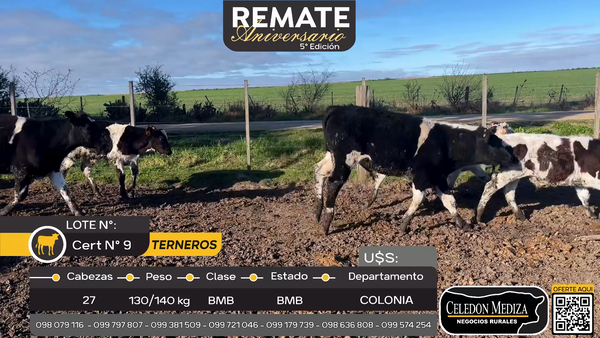 Lote 27 Terneros en Tarariras, Colonia