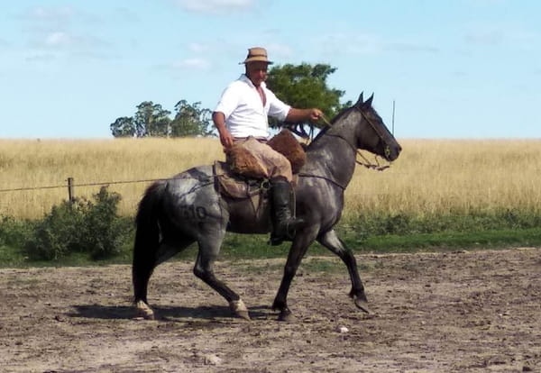 Lote LIDER ESCONDIDO