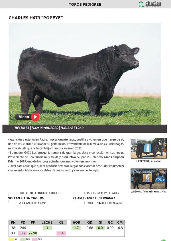 Lote TORO PEDIGREE