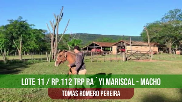 Lote TRP RA´YI DE MARISCAL