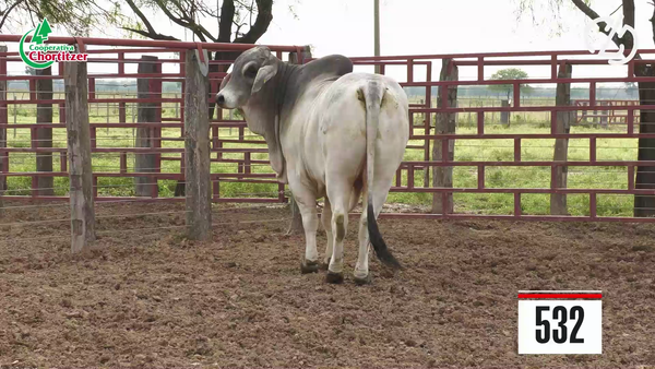 Lote Brahman