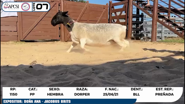 Lote LOTE 7