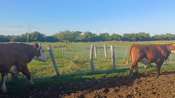 Lote 0  en Corrientes, Sauce