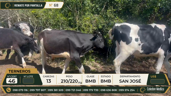 Lote 13 Otros en Colonia