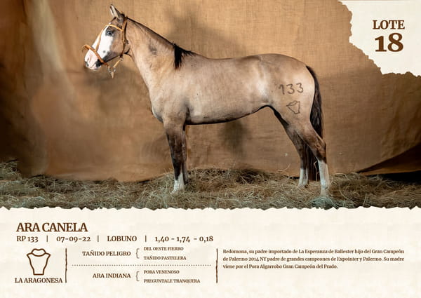 Lote ARA CANELA
