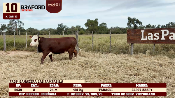 Lote LOTE 10