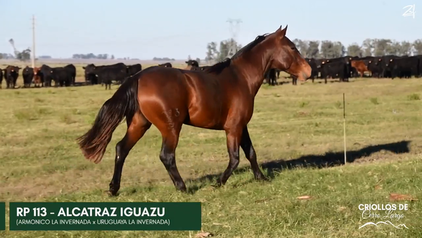 Lote ALCATRAZ IGUAZU