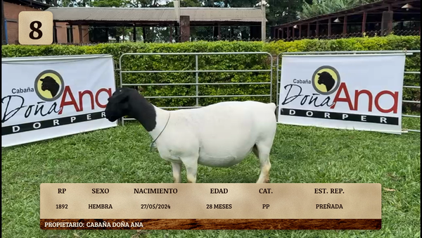 Lote LOTE 8