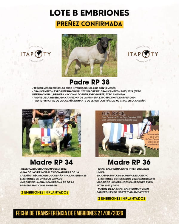 Lote LOTE B