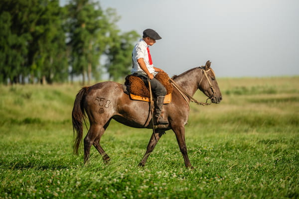 Lote Bombolita Bordona