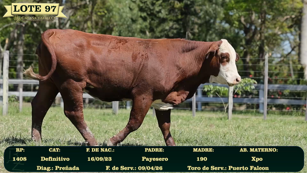 Lote LOTE 97