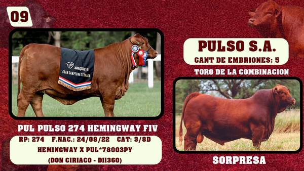Lote LOTE 9