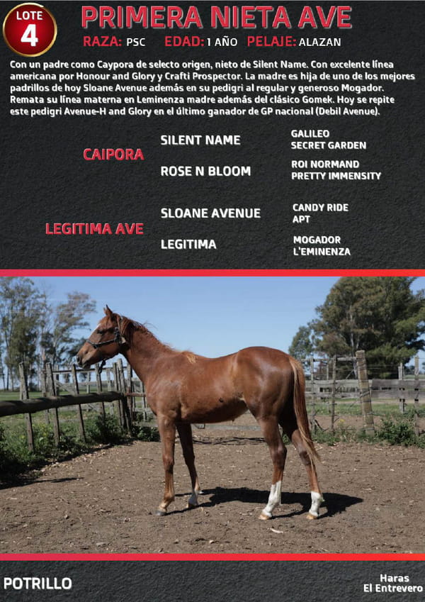 Lote PRIMERA NIETA AVE