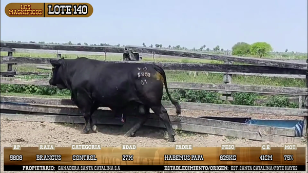 Lote LOTE 140 - POR PANTALLA