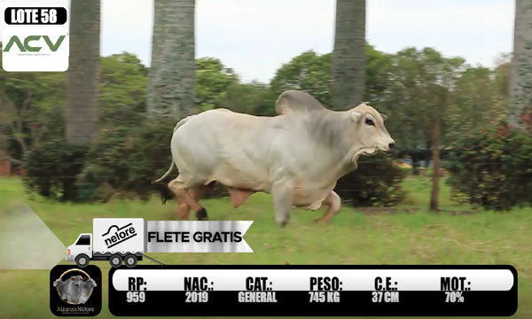 Lote LOTE  58 RP 959