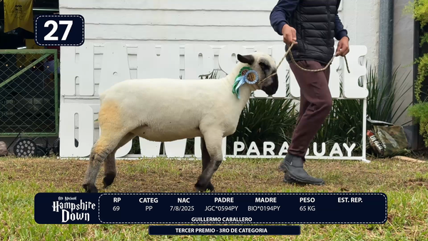 Lote LOTE 27