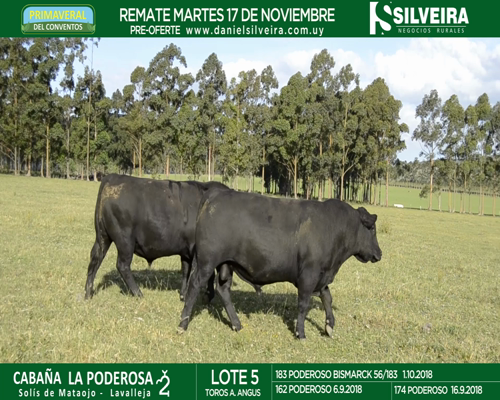 Lote Cabaña La Poderosa