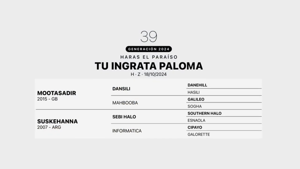 Lote TU INGRATA PALOMA