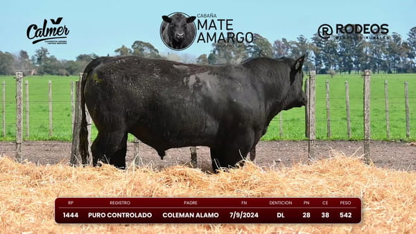 Lote RP 1444 PC