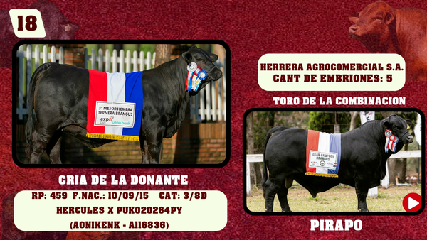 Lote LOTE 18