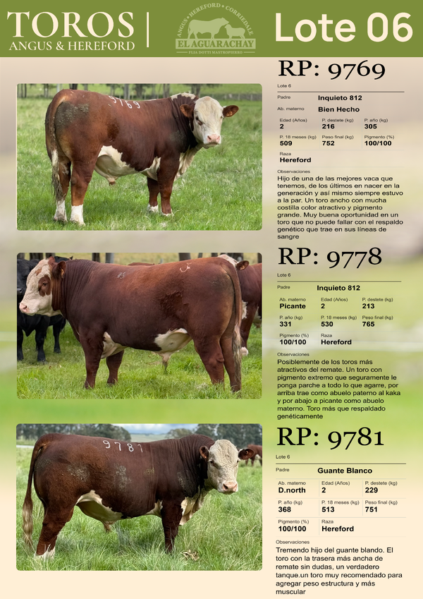 Lote LOTE 06