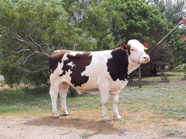 Lote La Clide RP 449