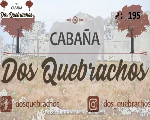 Lote DOS QUEBRACHO 195