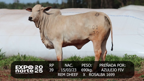 Lote ISABEL
