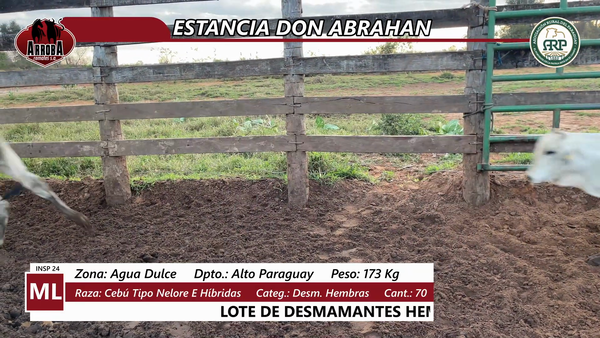 Lote ESTANCIA DON ABRAHAN