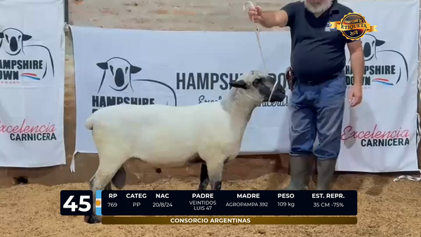 Lote LOTE 45