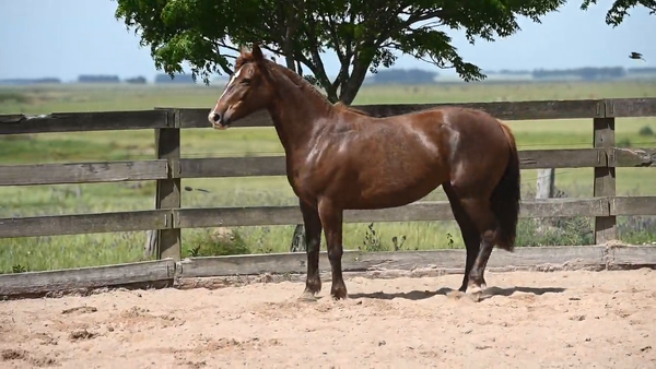 Lote CAÑADA  PINTADA