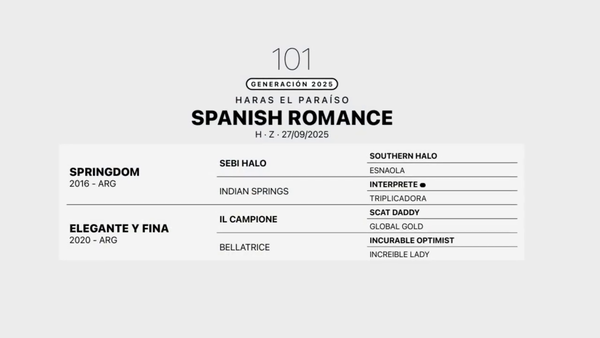 Lote SPANISH ROMANCE