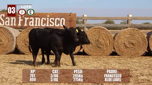 Lote Lote 3 Reserva de Cabaña