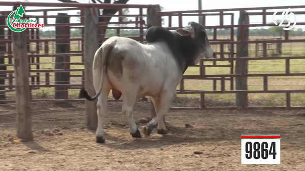 Lote Brahman