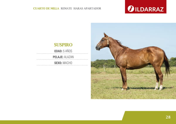 Lote SUSPIRO