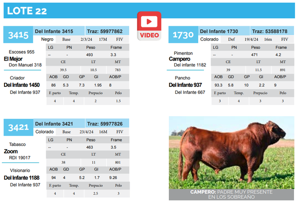 Lote Lote 22