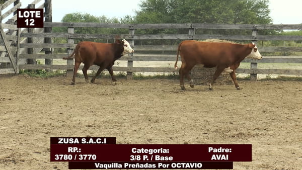 Lote Cabañas de Tradición - Lote 12