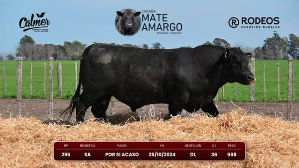 Lote RP 296 SA
