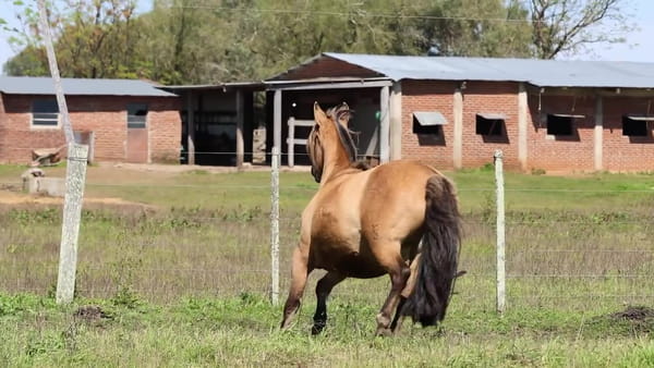 Lote Santa Ines Guria