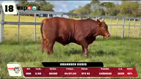 Lote LOTE 18