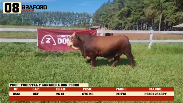 Lote LOTE 8