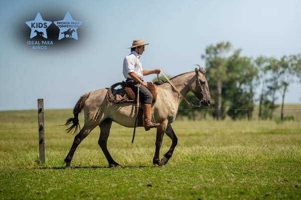 Lote CUMBIA LOS CERROS
