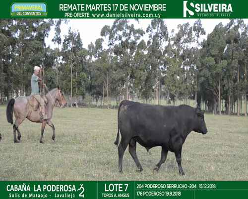 Lote Cabaña La Poderosa