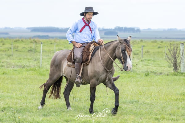 Lote Maleva De Los Recuerdos